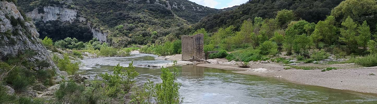 Le long du Gardon à la Baume