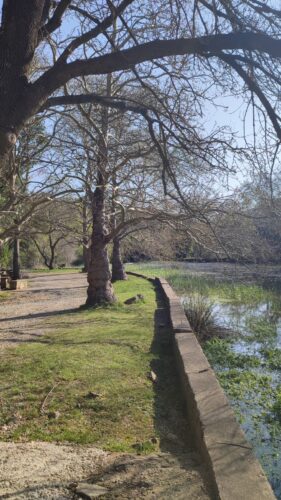 Massif de la Seranne