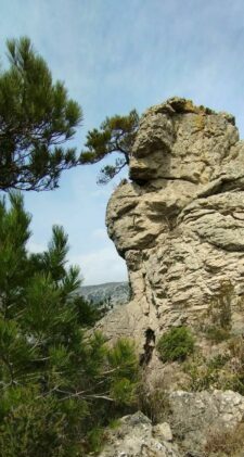 Massif de la Seranne