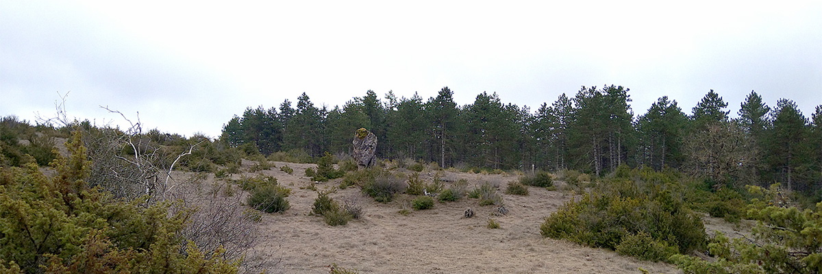 La pierre plantée – Pont d&rsquo;Hérault