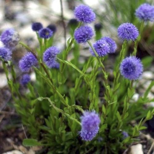 Caisses_de_Jean-Jean_01