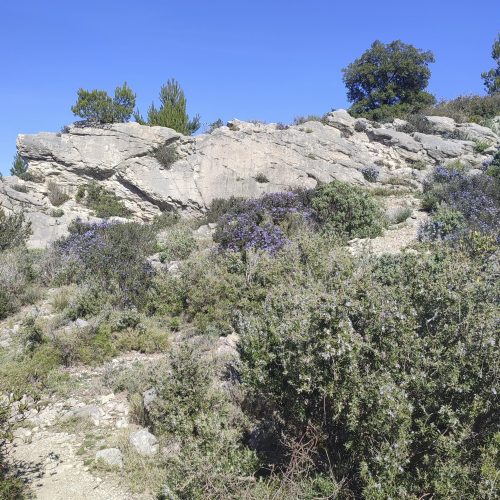 Caisses_de_Jean-Jean_07