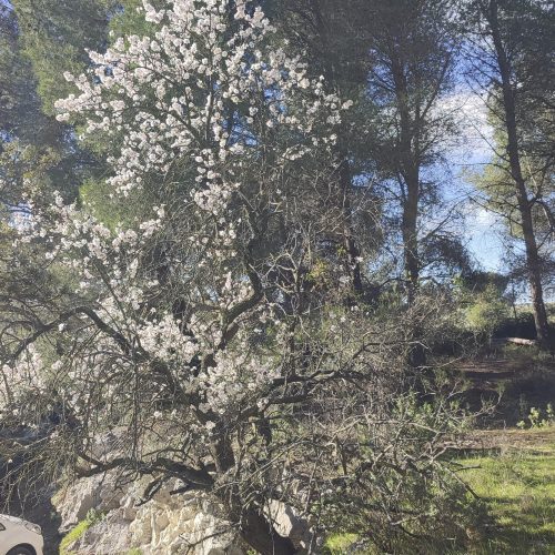 Caisses_de_Jean-Jean_10