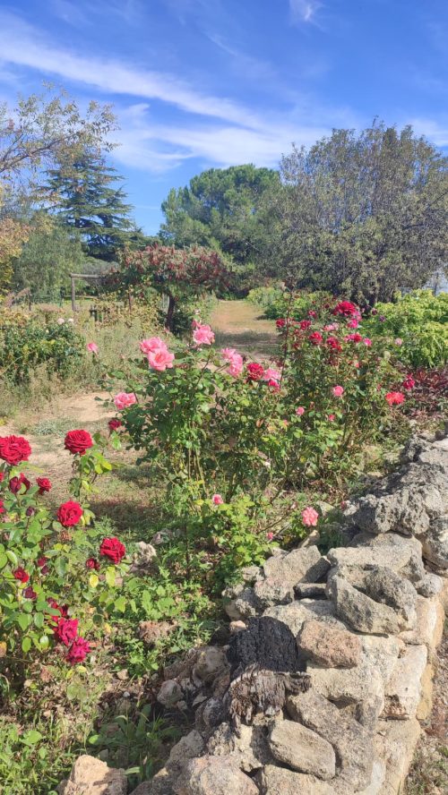 Saint-Pons-de-Mauchiens