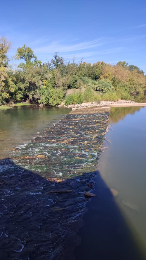 Saint-Pons-de-Mauchiens