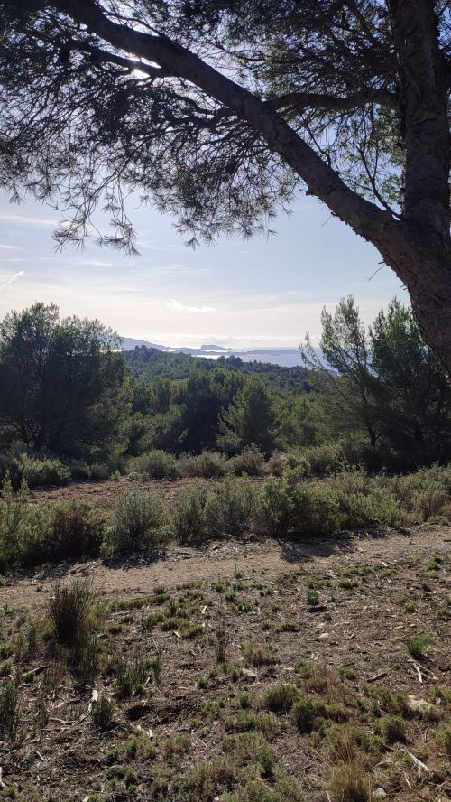 Le Rove - Les 3 calanques