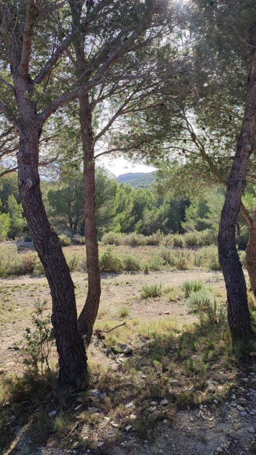 Le Rove - Les 3 calanques