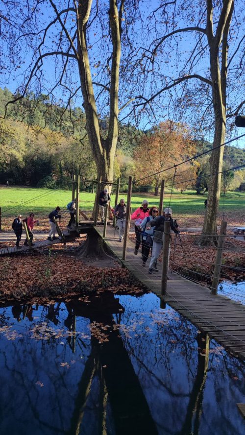 Uzès - Saint Siffret