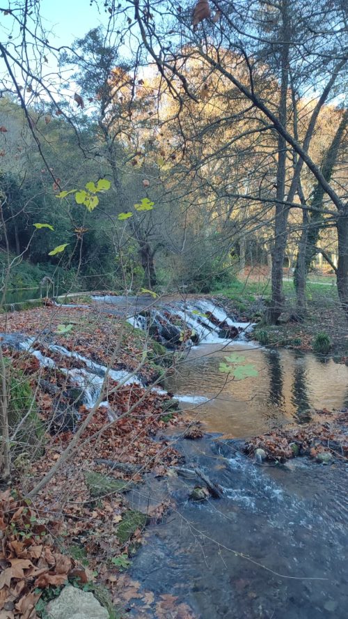 Uzès - Saint Siffret
