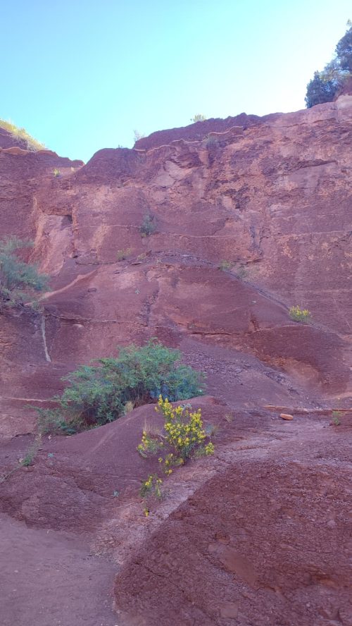 St Saturnin de Lucian