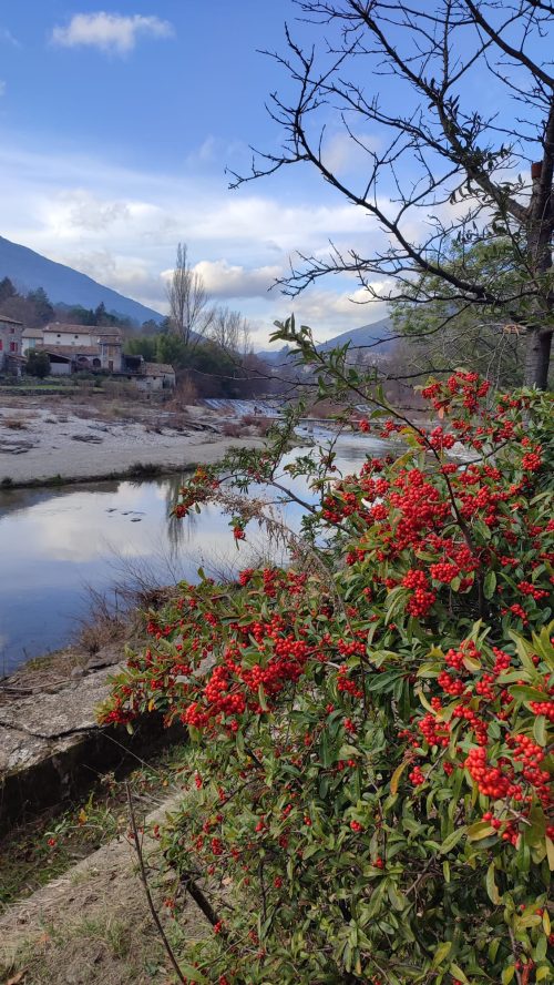 Mialet-Chemin des Camisards