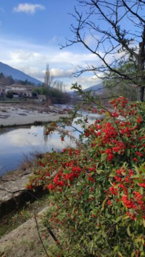 Mialet-Chemin des Camisards