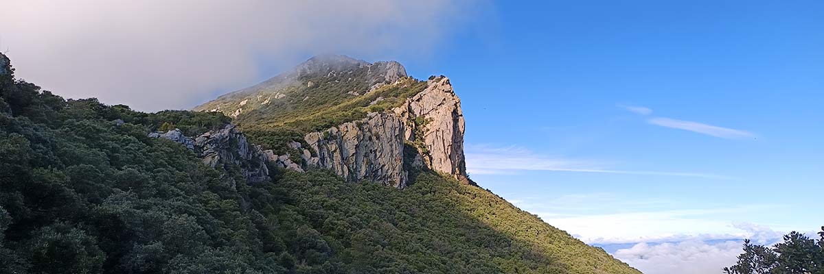 Pic Saint Loup