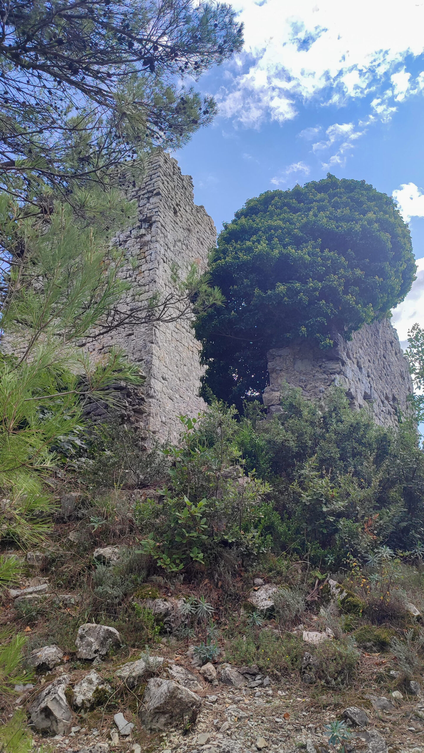 Belvézet
