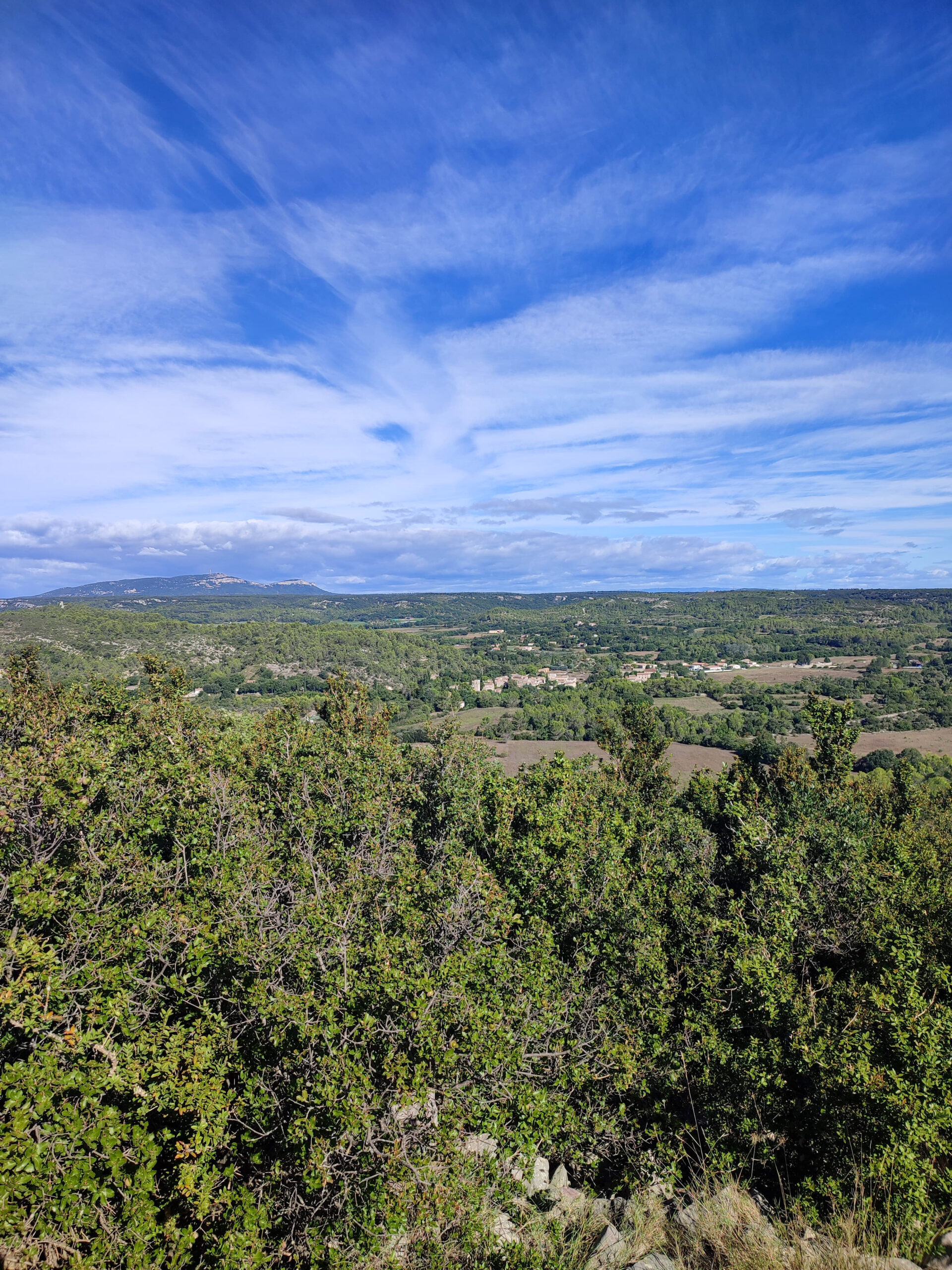Belvezet21