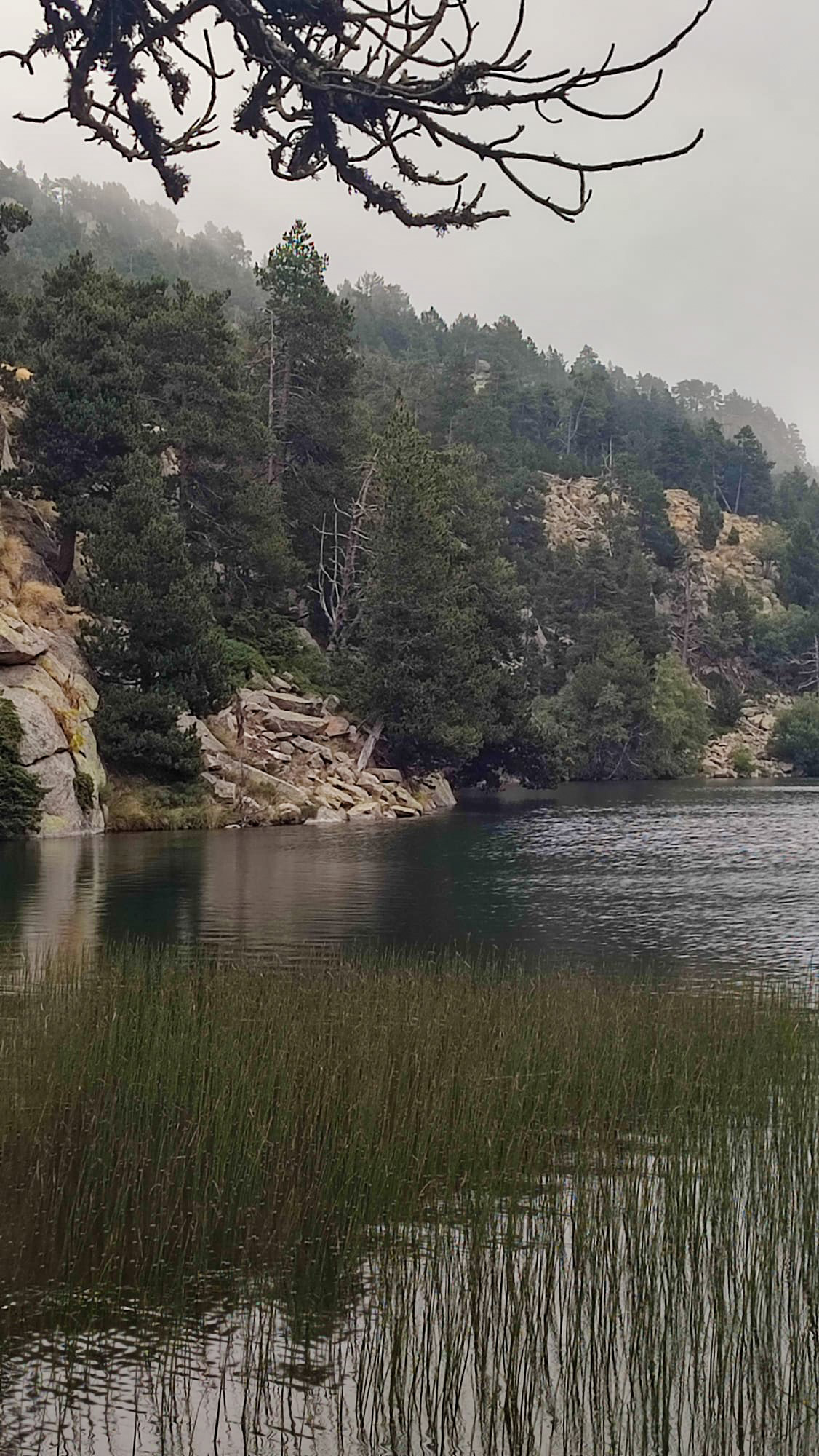Font-Romeu