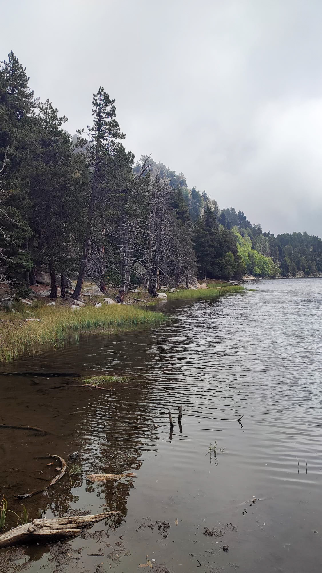 Font-Romeu