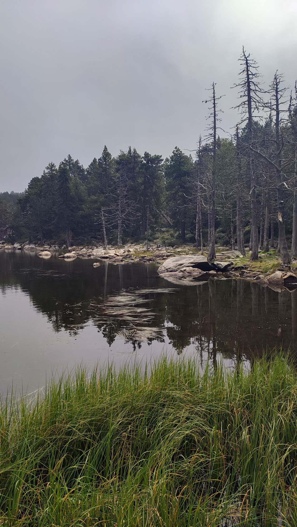 Font-Romeu