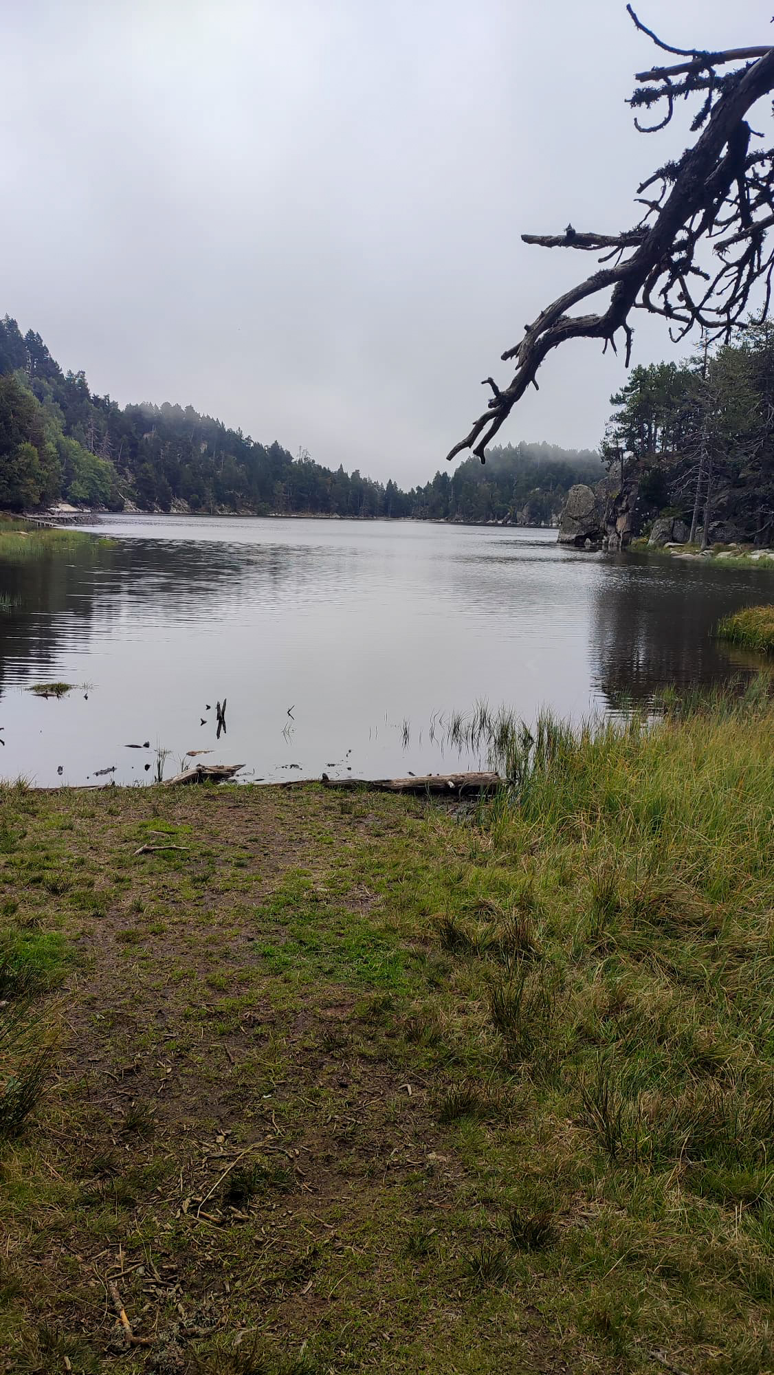 Font-Romeu