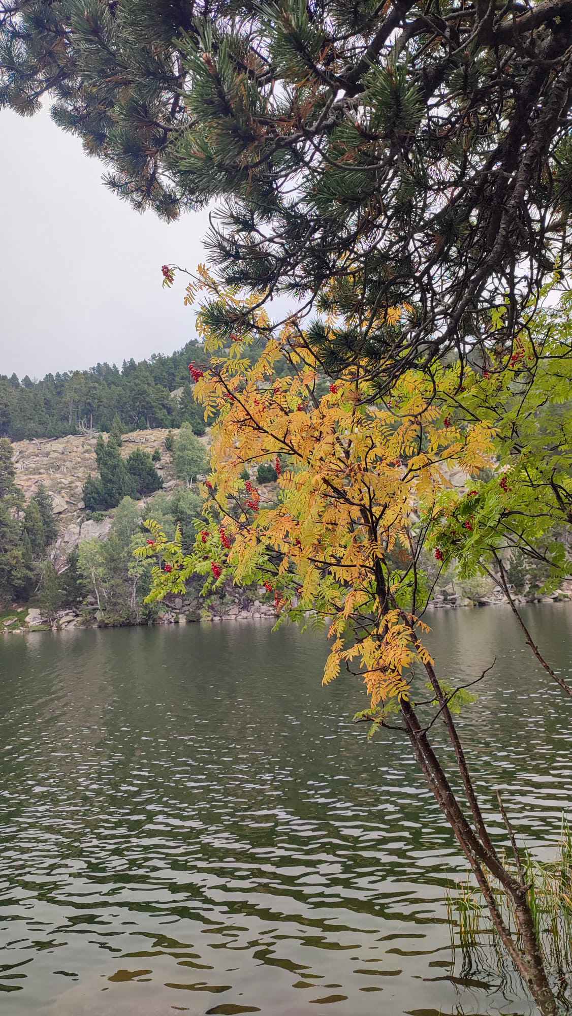 Font-Romeu