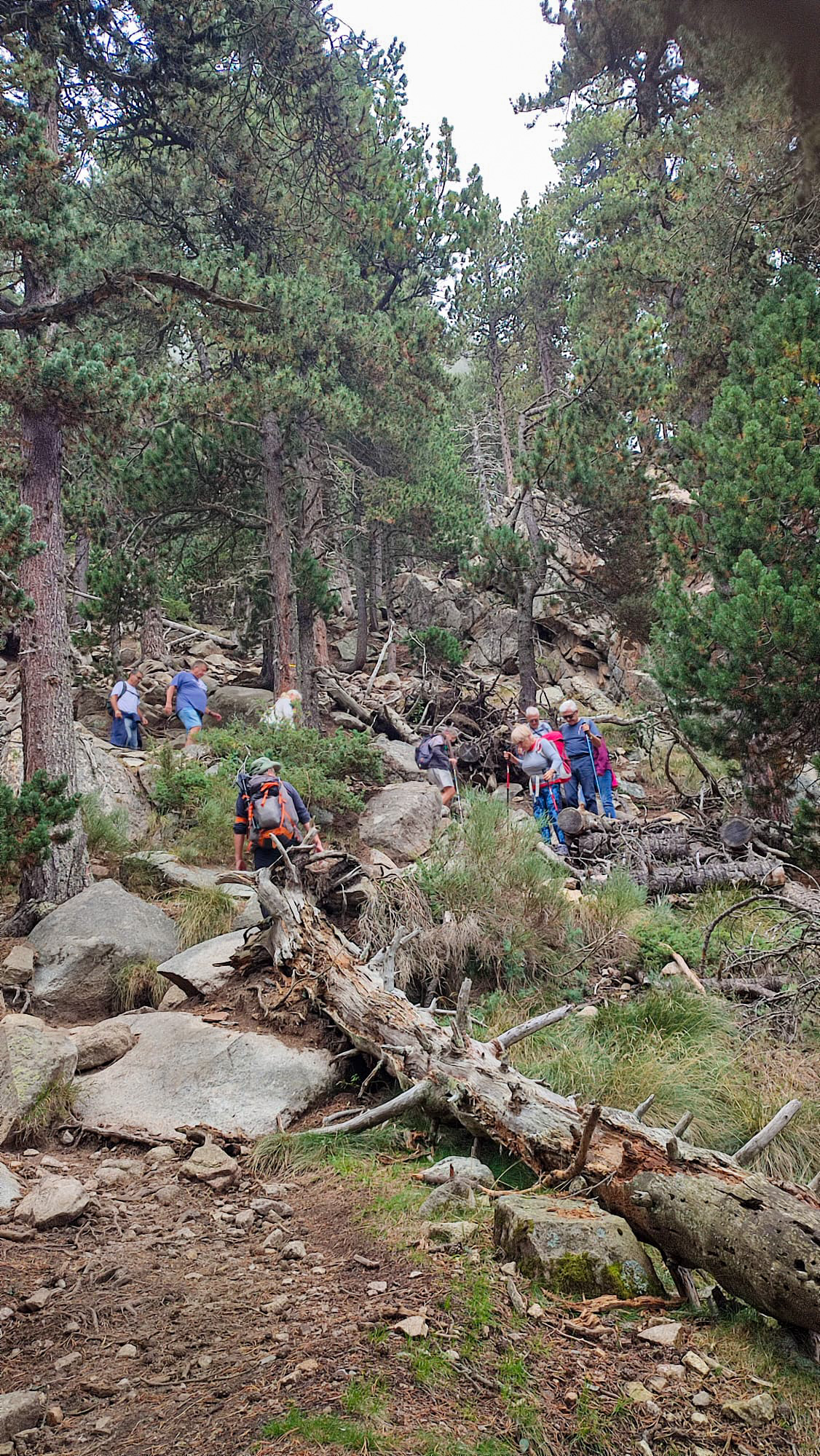 Font-Romeu