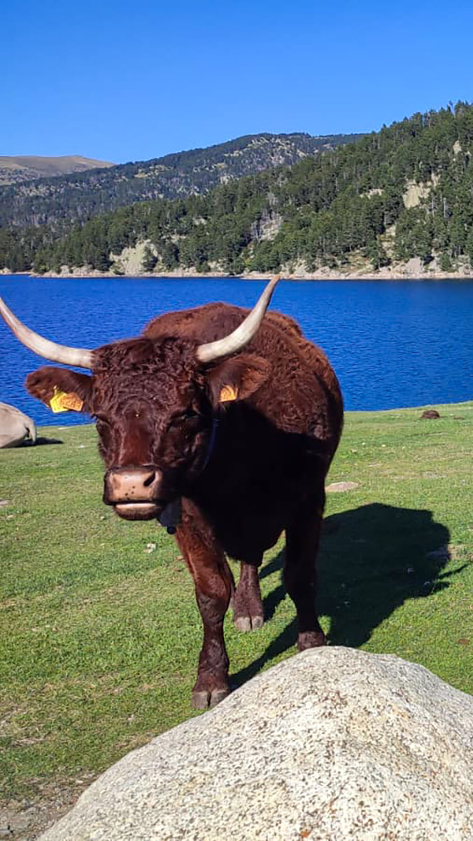 Font-Romeu