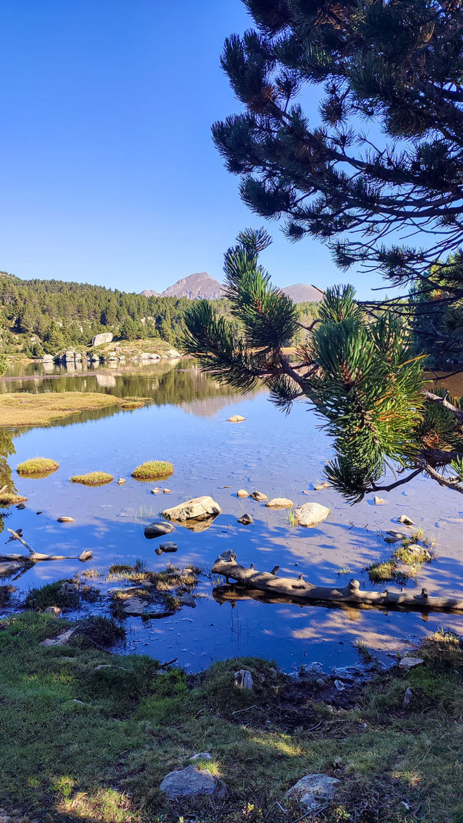 Font-Romeu