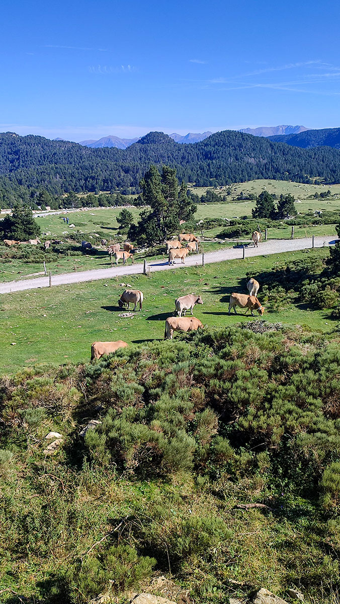 Font-Romeu