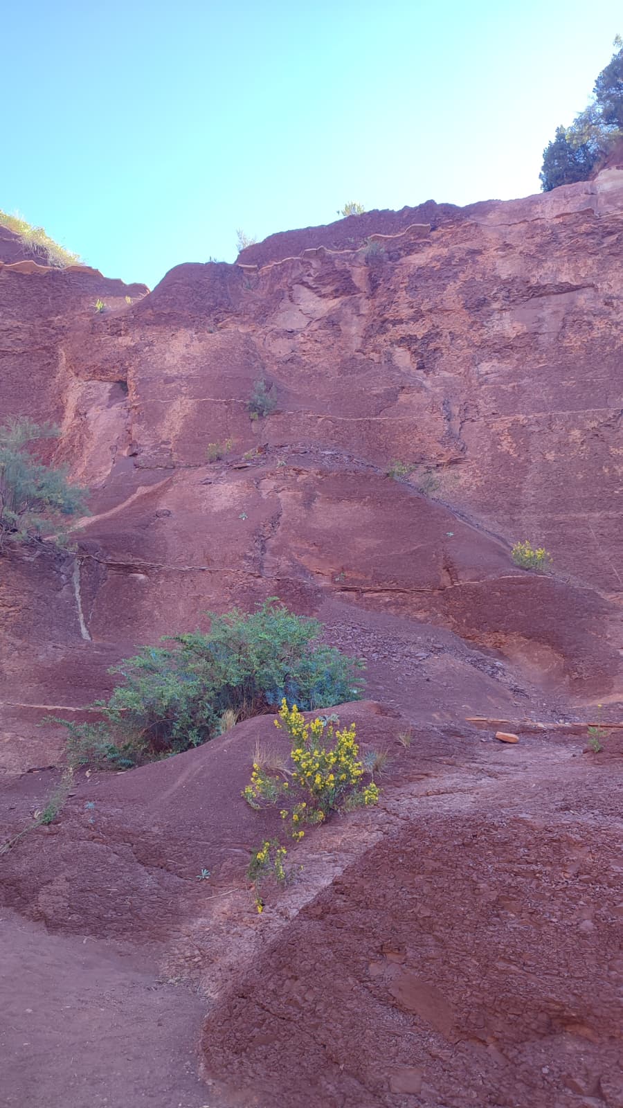 St Saturnin de Lucian