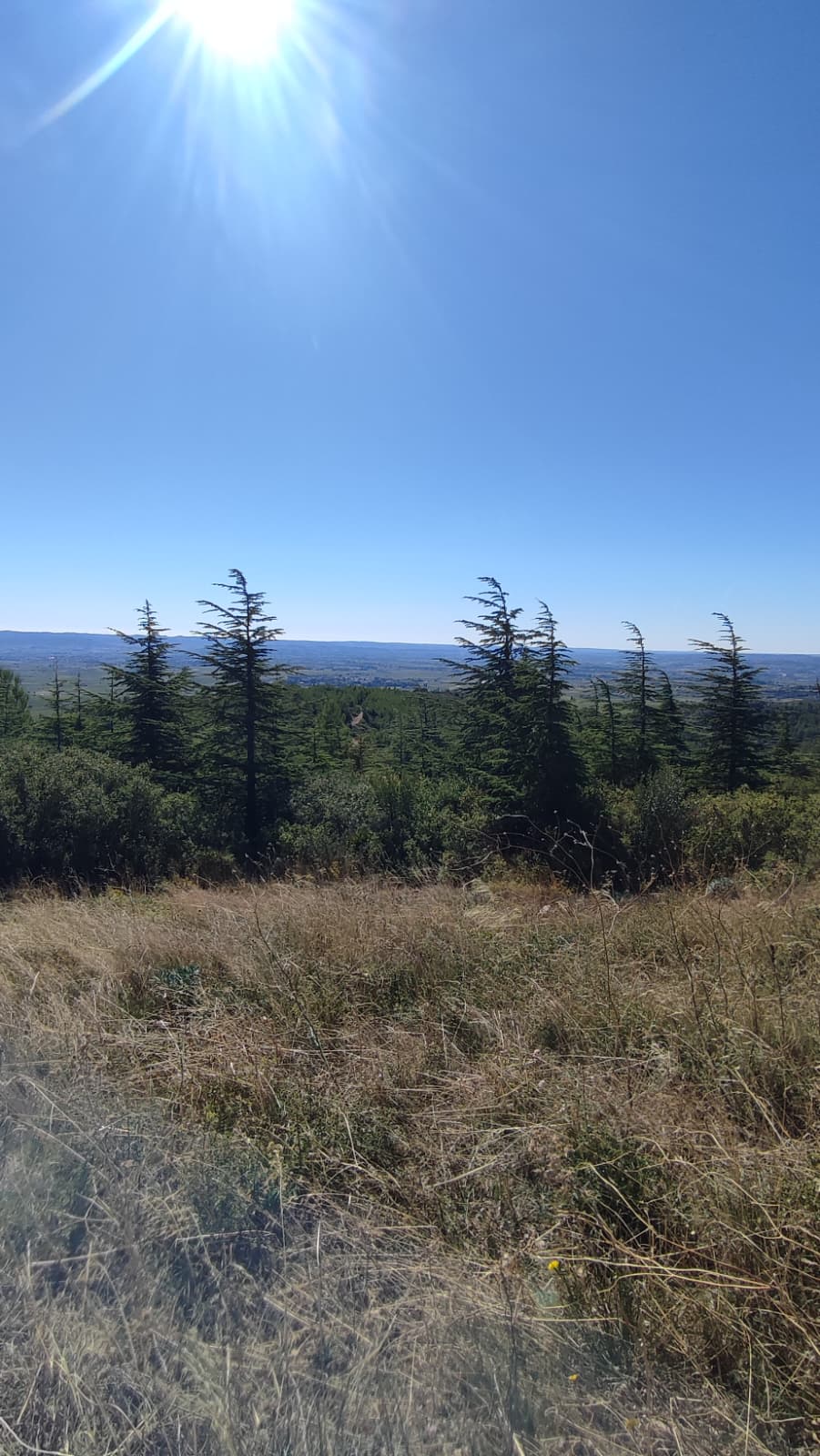 St Saturnin de Lucian