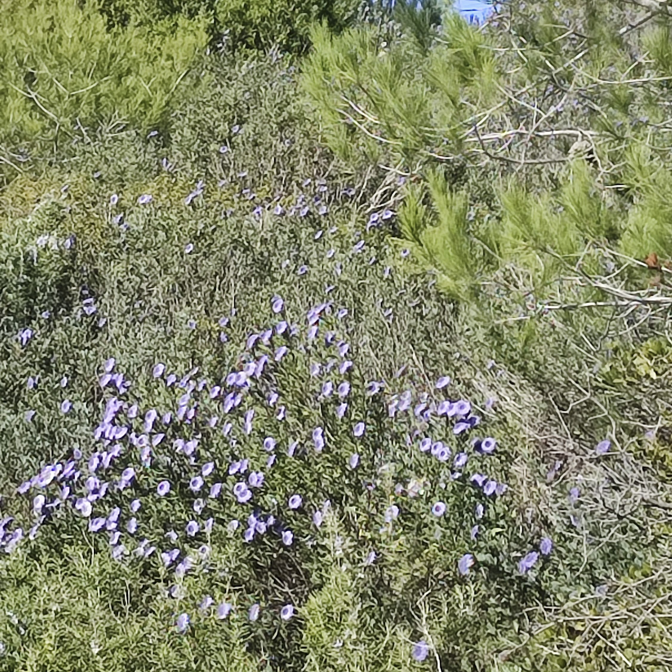 Caisses_de_Jean-Jean_05