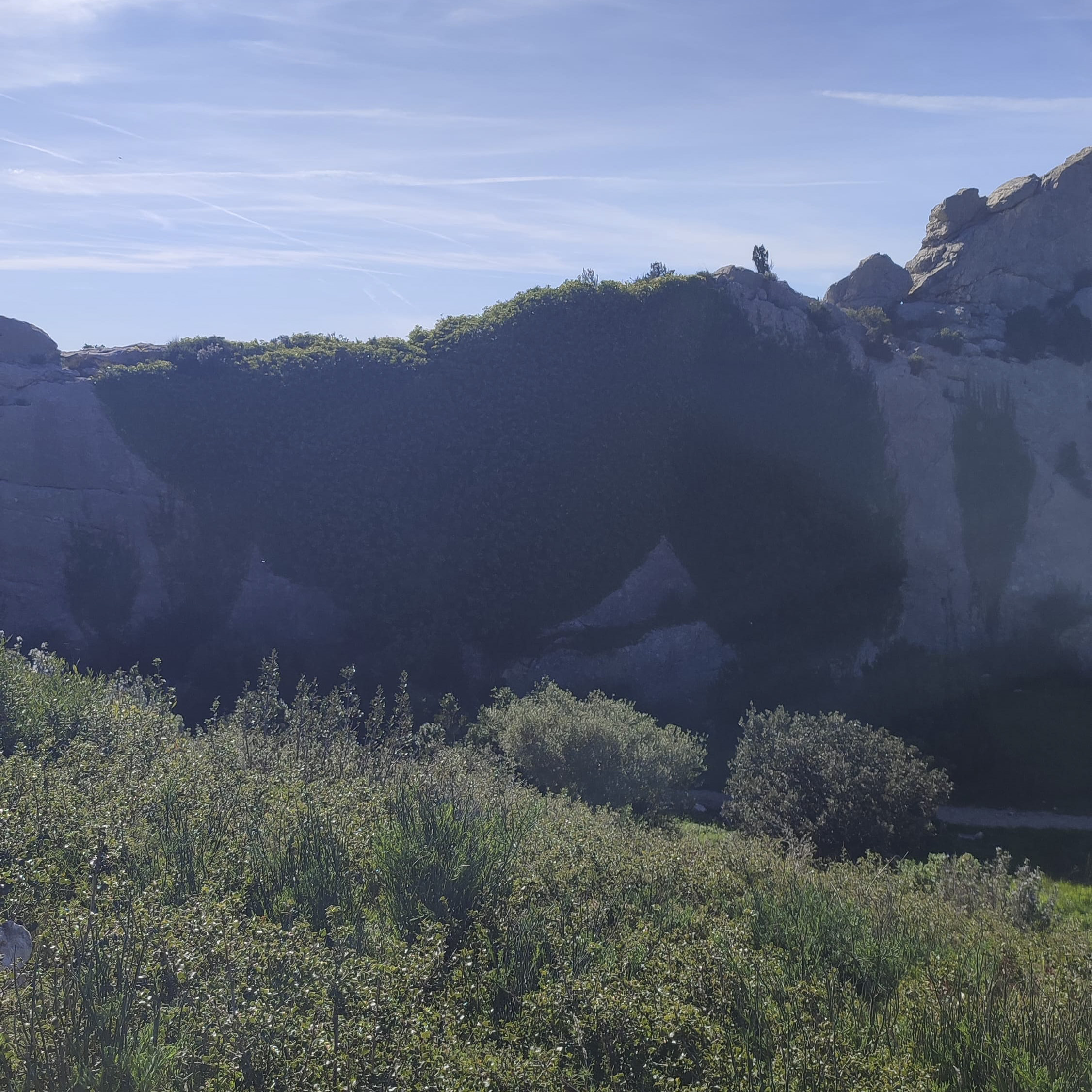 Caisses_de_Jean-Jean_06