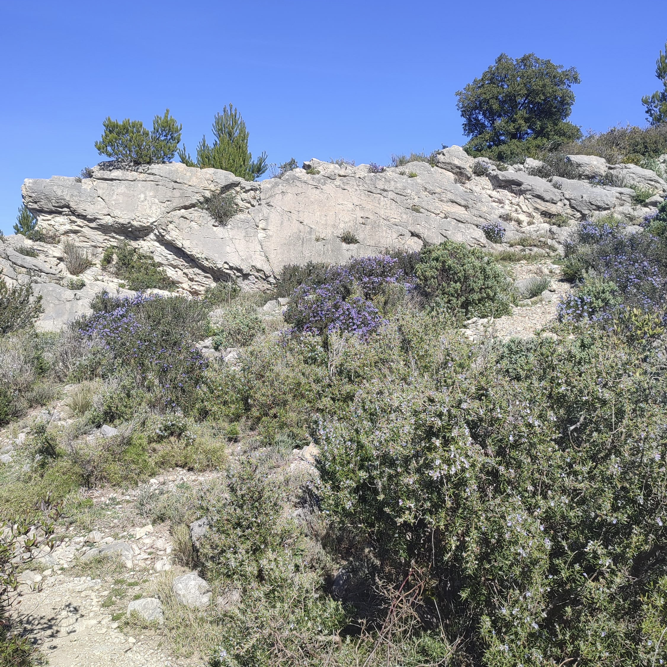 Caisses_de_Jean-Jean_07