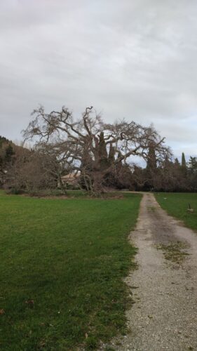Château  de Roquemartine-Grotte de Calès