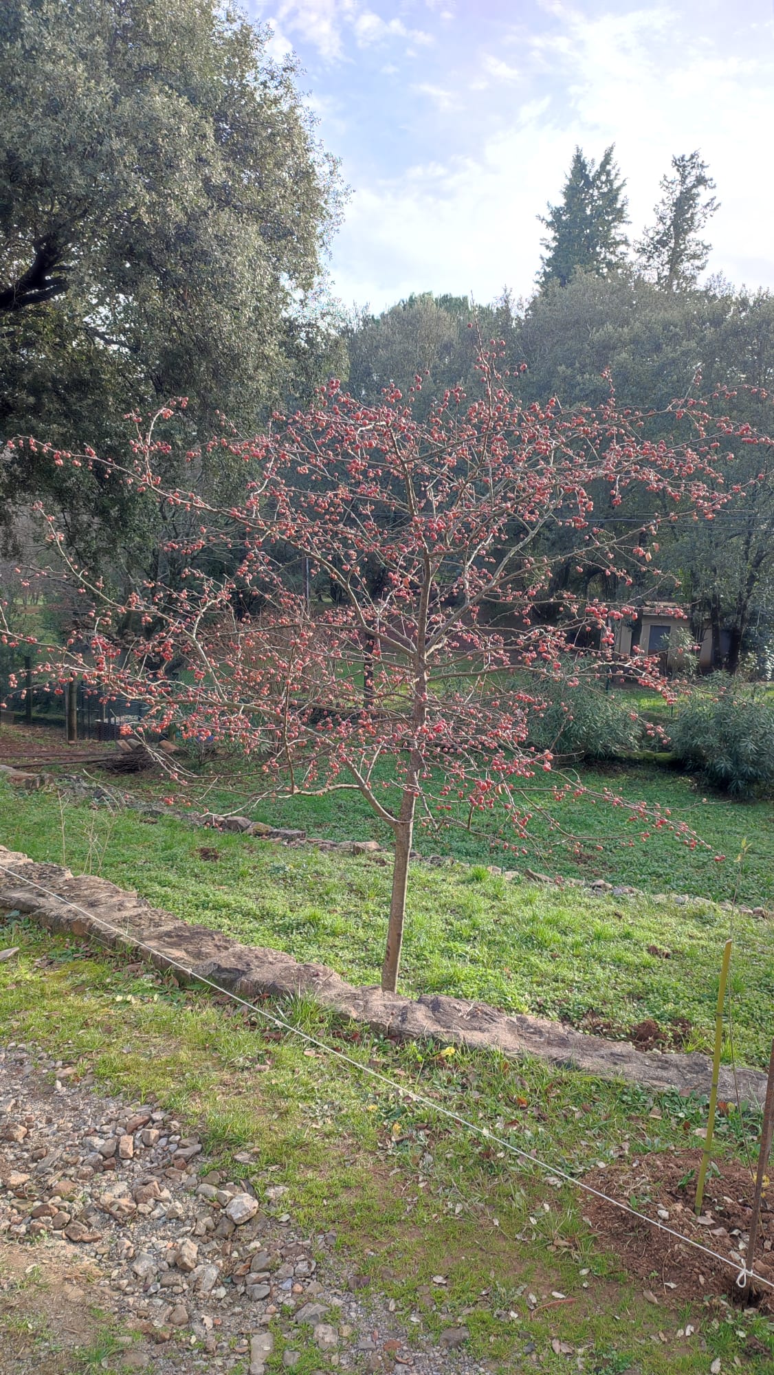 Mialet-Chemin des Camisards