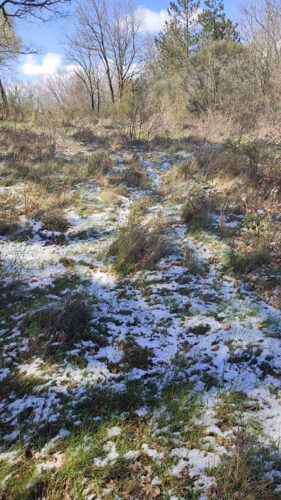 Cirque du bout du monde