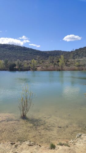 St Martin de Londres