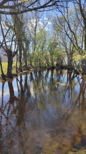 St Martin de Londres