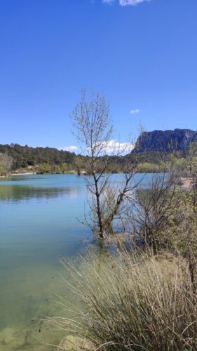 St Martin de Londres