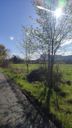 St Martin de Londres