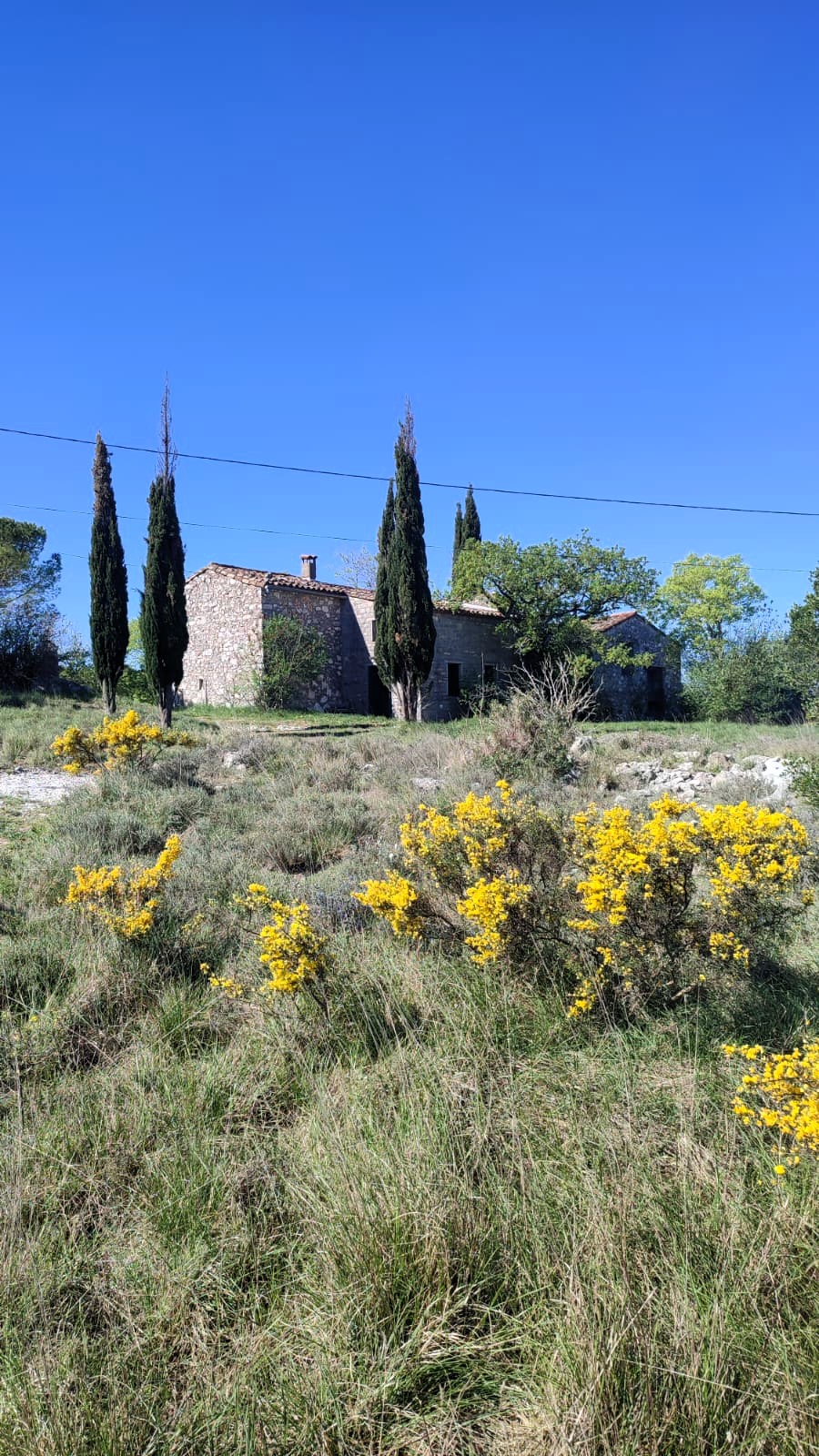 Saint-Etienne-de-Gabriac19
