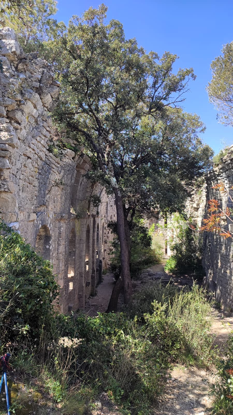 Saint-Etienne-de-Gabriac22