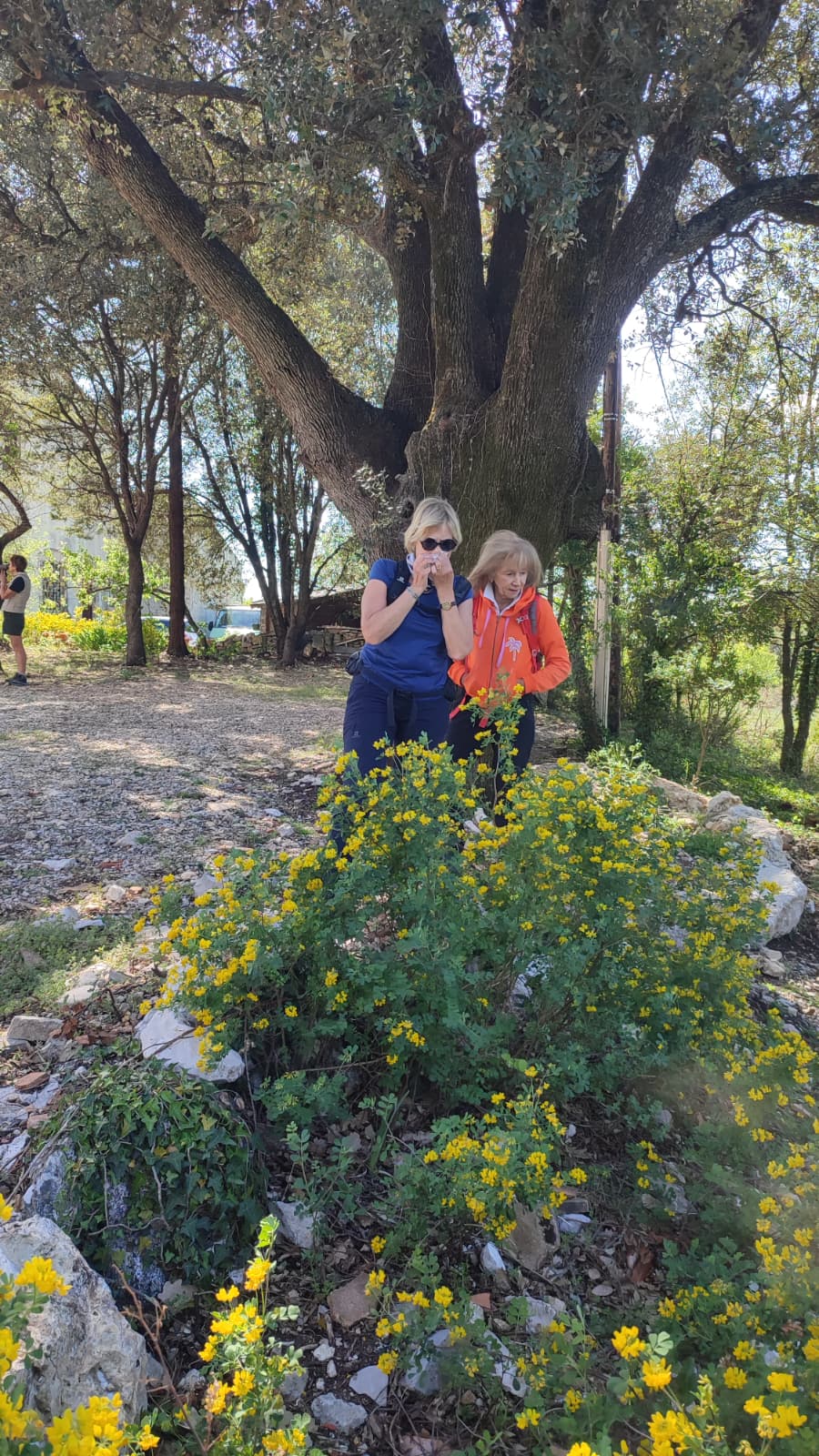 Saint-Etienne-de-Gabriac5