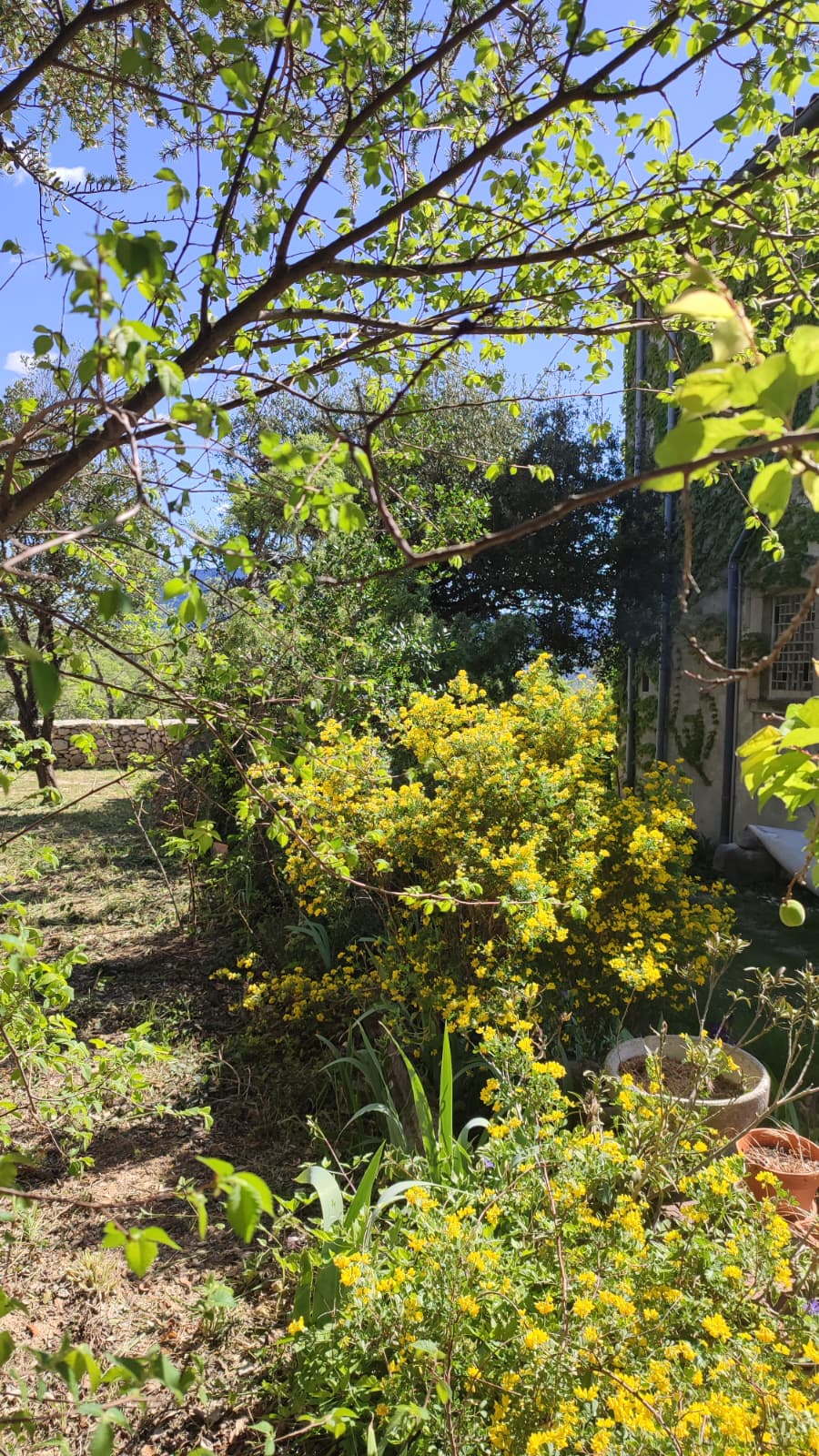 Saint-Etienne-de-Gabriac7