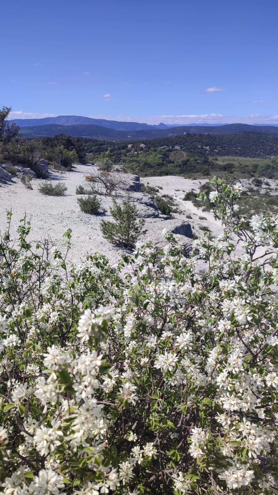 Saint-Etienne-de-Gabriac9