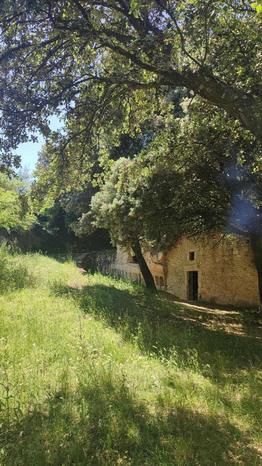 Montfrin
