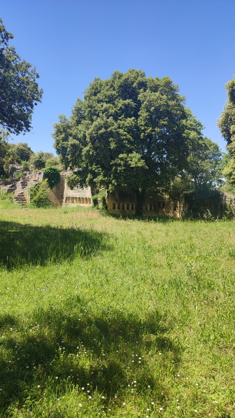 Montfrin
