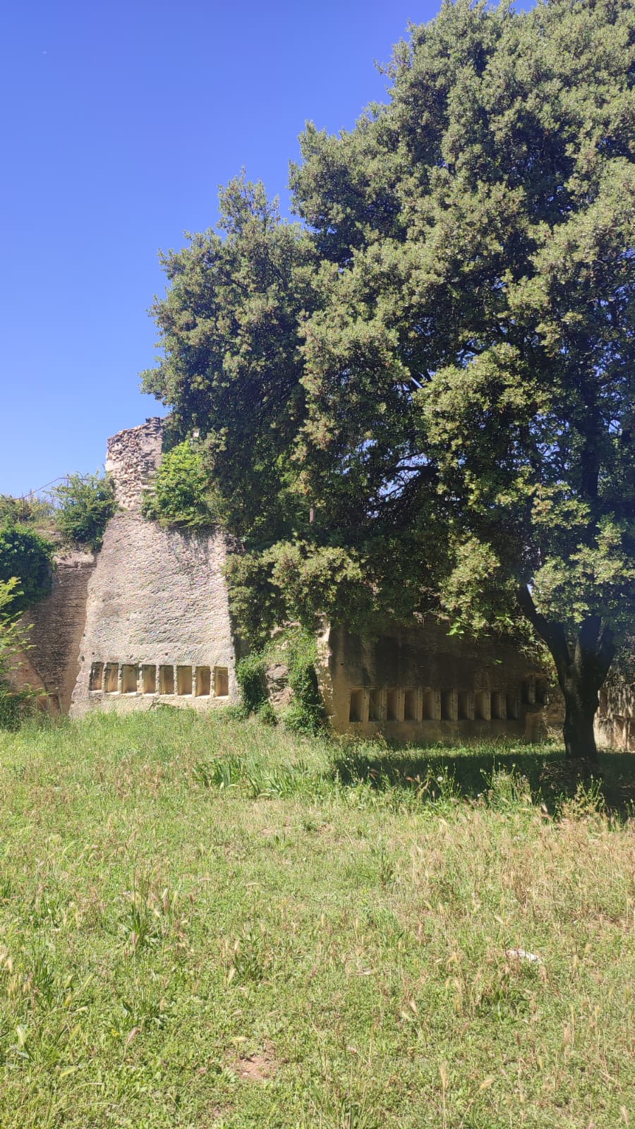 Montfrin