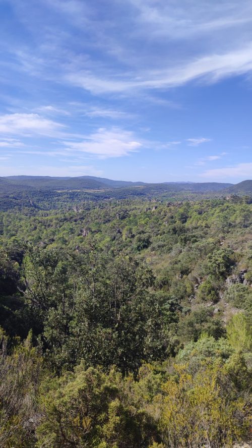 Moureze