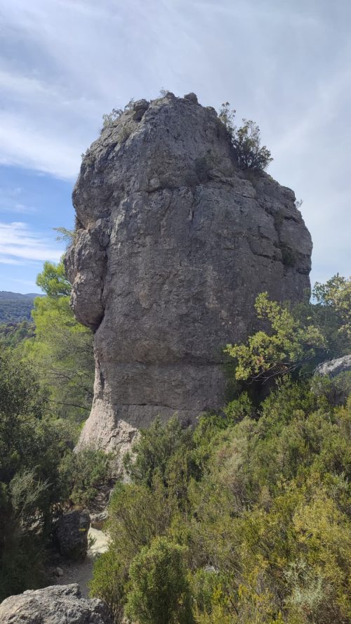 Moureze